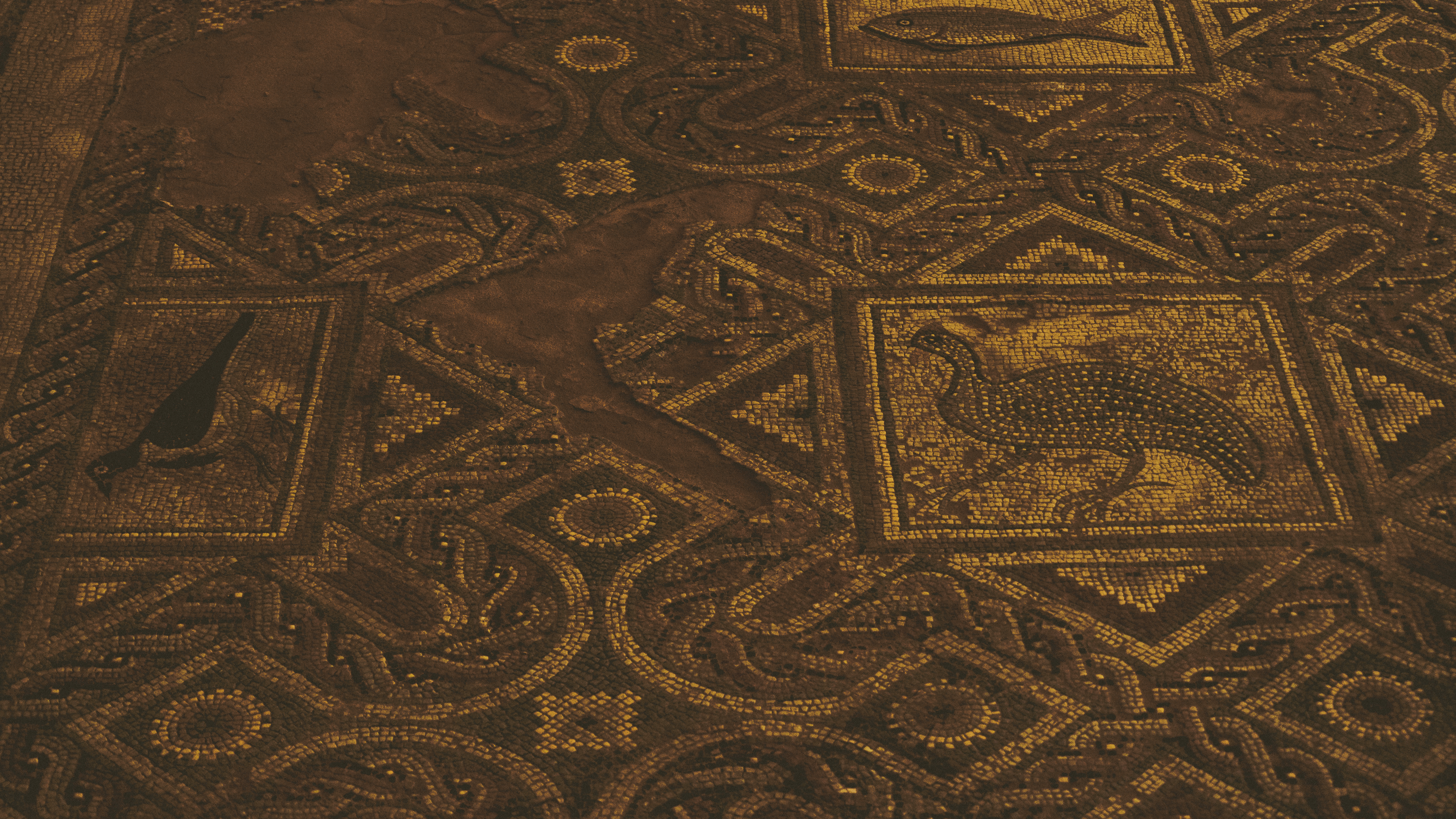 archaeology