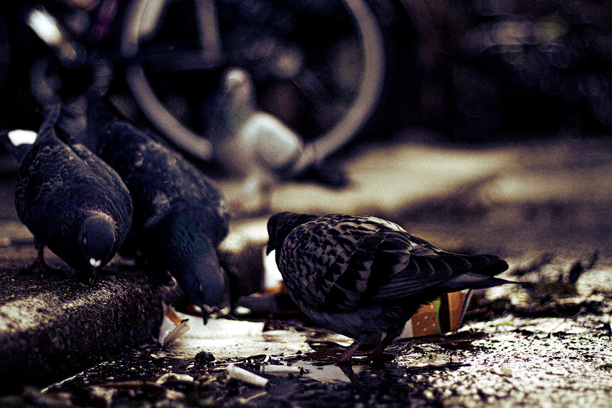 scrutiny